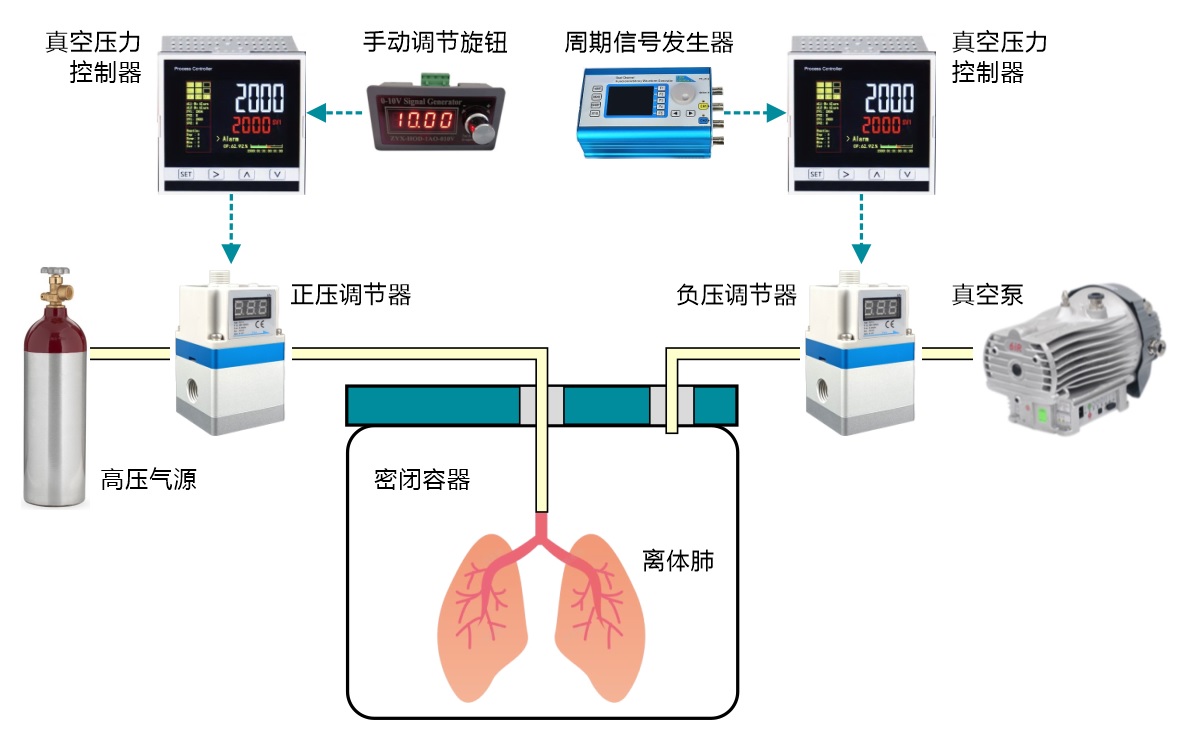 正負壓自動控制技術在離體肺通氣系統(tǒng)中的應用